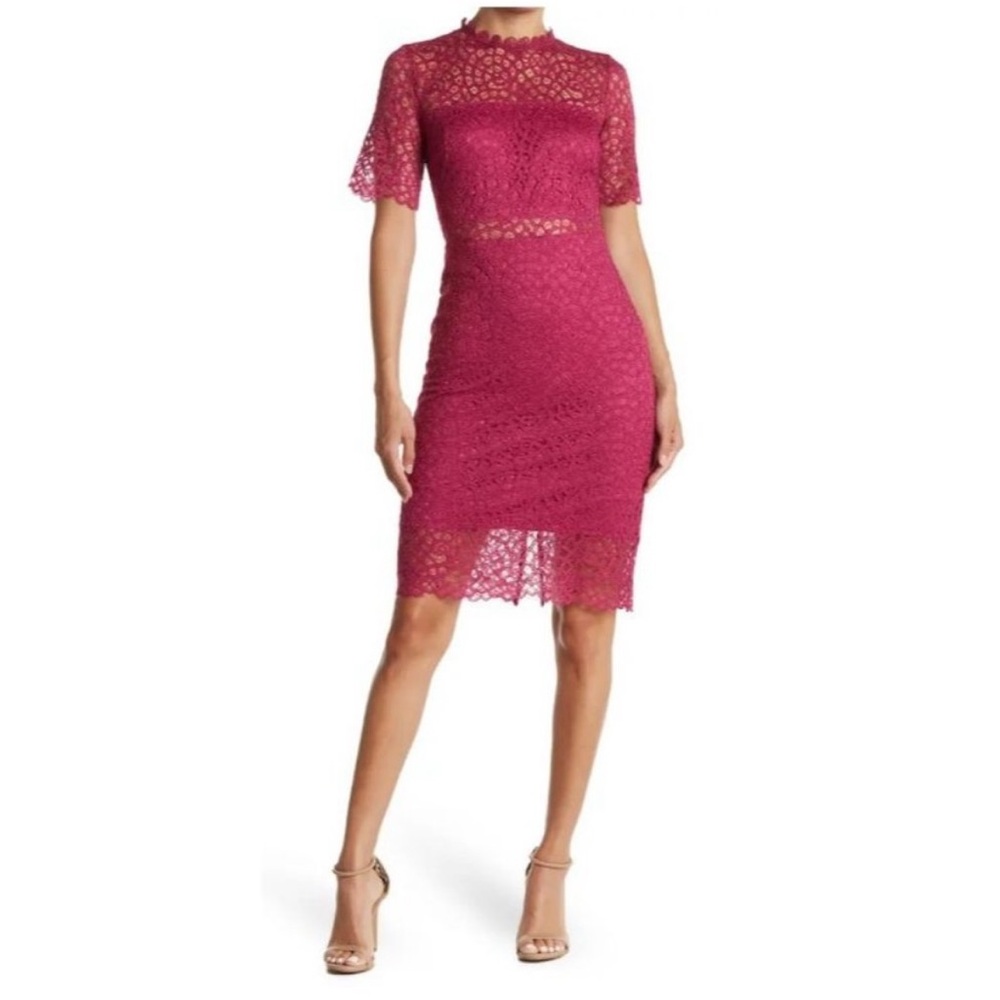 Elegant Lace Dress in Pink